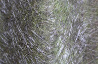 St James fibreglass roof work